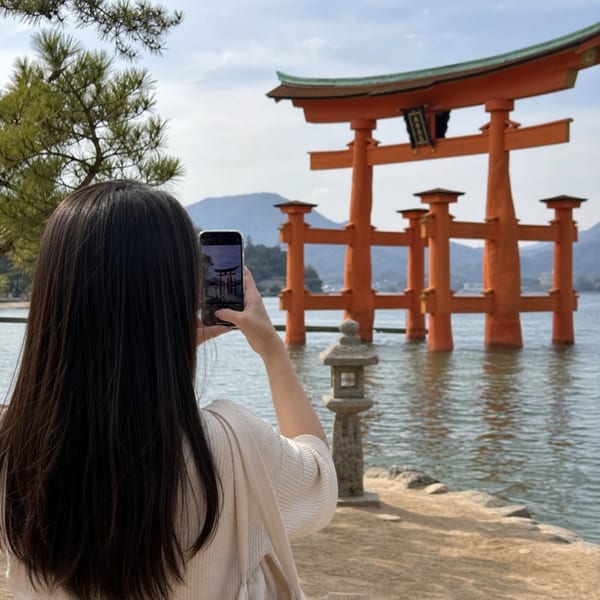 Customers using eSIM while traveling