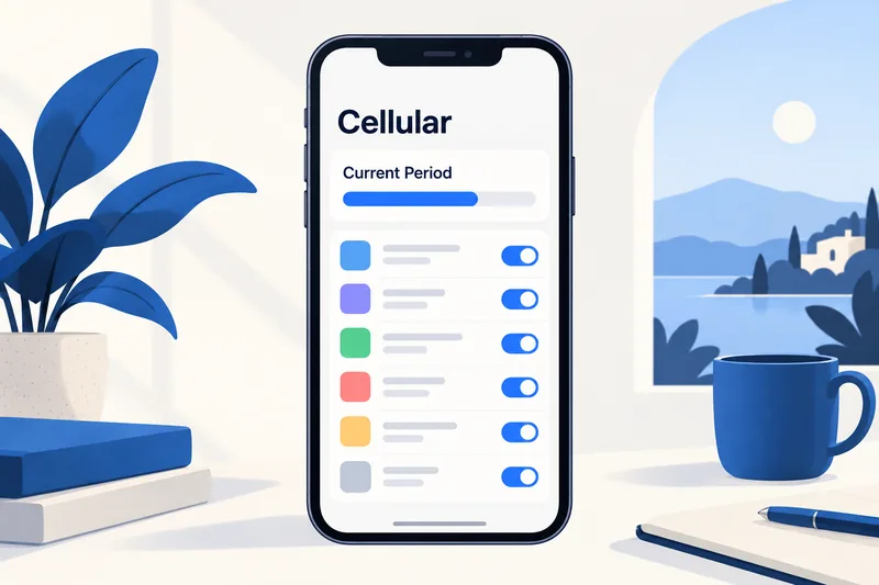 Tempat menyemak penggunaan data pada iPhone
